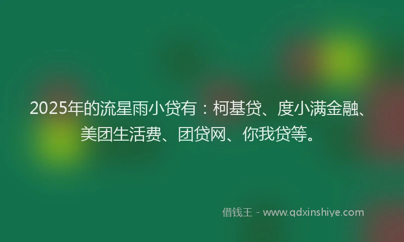 2025年的流星雨小贷有：柯基贷、度小满金融、美团生活费、团贷网、你我贷等。