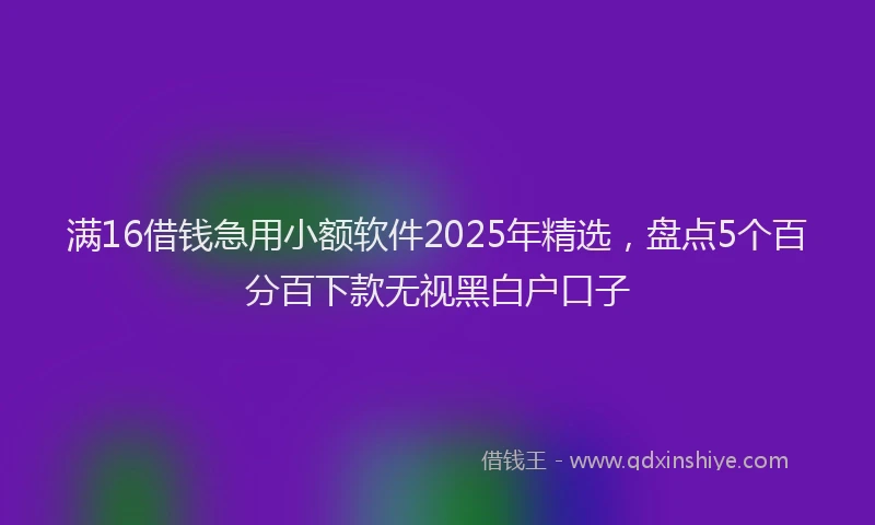 满16借钱急用小额软件2025年精选，盘点5个百分百下款无视黑白户口子