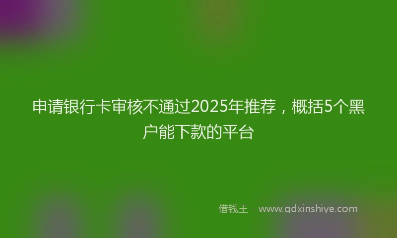 申请银行卡审核不通过2025年推荐，概括5个黑户能下款的平台