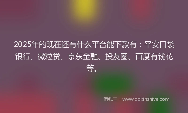 2025年的现在还有什么平台能下款有：平安口袋银行、微粒贷、京东金融、投友圈、百度有钱花等。