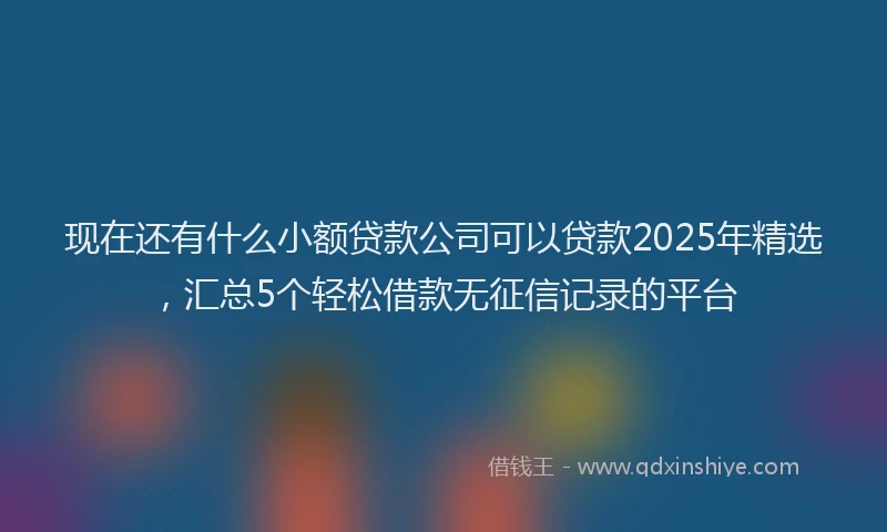 现在还有什么小额贷款公司可以贷款2025年精选，汇总5个轻松借款无征信记录的平台