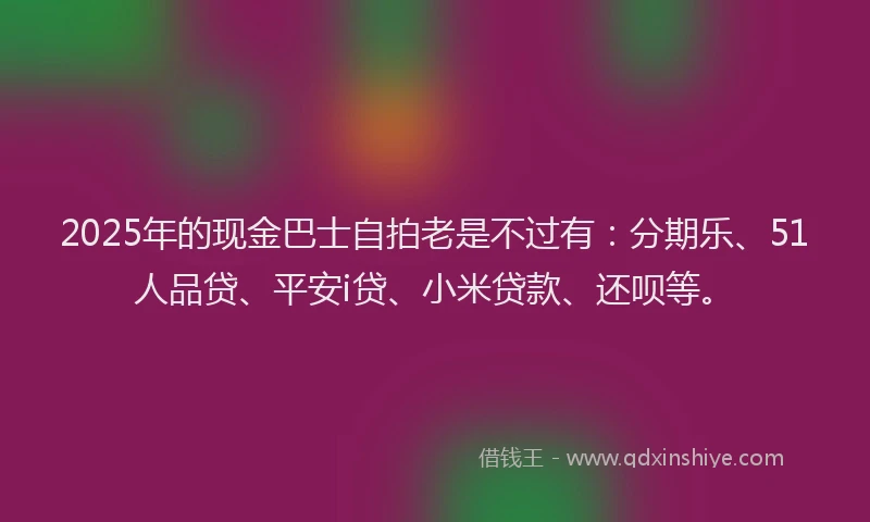 2025年的现金巴士自拍老是不过有：分期乐、51人品贷、平安i贷、小米贷款、还呗等。