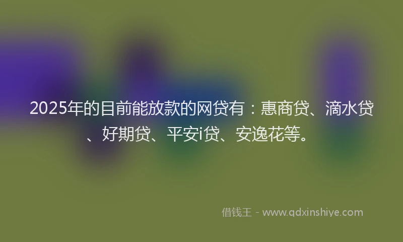 2025年的目前能放款的网贷有：惠商贷、滴水贷、好期贷、平安i贷、安逸花等。