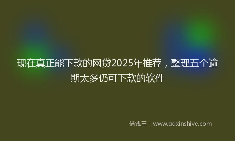 现在真正能下款的网贷2025年推荐，整理五个逾期太多仍可下款的软件