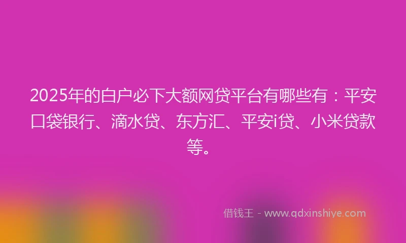 2025年的白户必下大额网贷平台有哪些有：平安口袋银行、滴水贷、东方汇、平安i贷、小米贷款等。