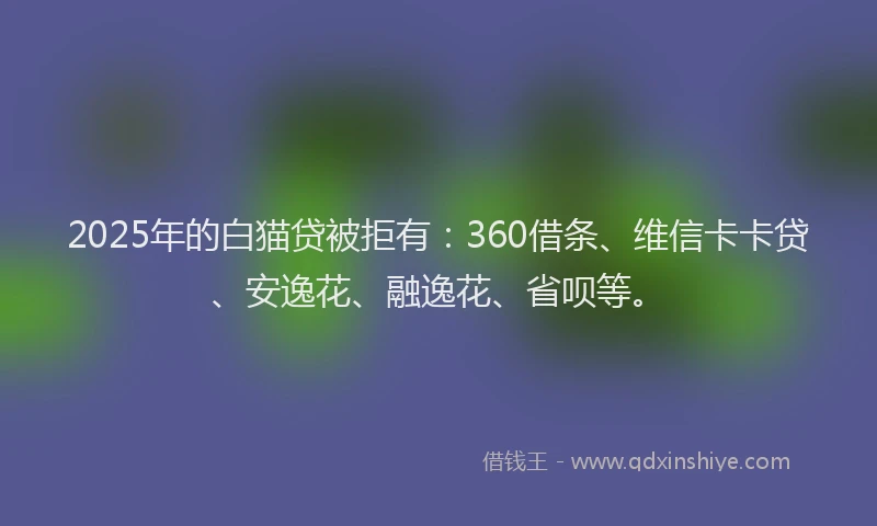 2025年的白猫贷被拒有：360借条、维信卡卡贷、安逸花、融逸花、省呗等。