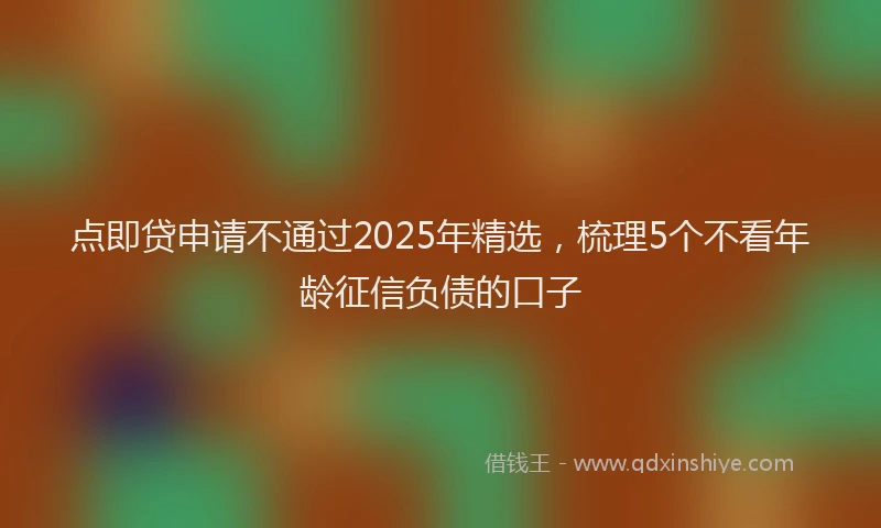 点即贷申请不通过2025年精选，梳理5个不看年龄征信负债的口子