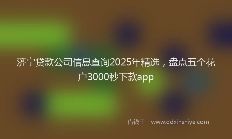 济宁贷款公司信息查询2025年精选，盘点五个花户3000秒下款app