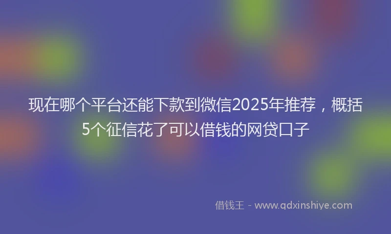 现在哪个平台还能下款到微信2025年推荐，概括5个征信花了可以借钱的网贷口子