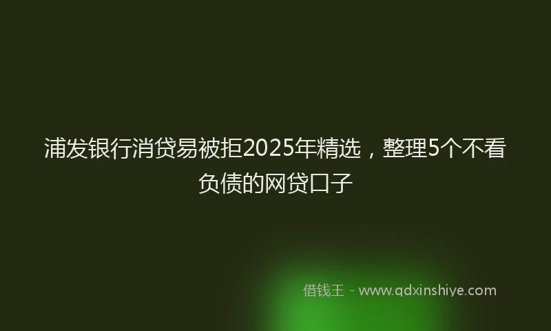 浦发银行消贷易被拒2025年精选，整理5个不看负债的网贷口子