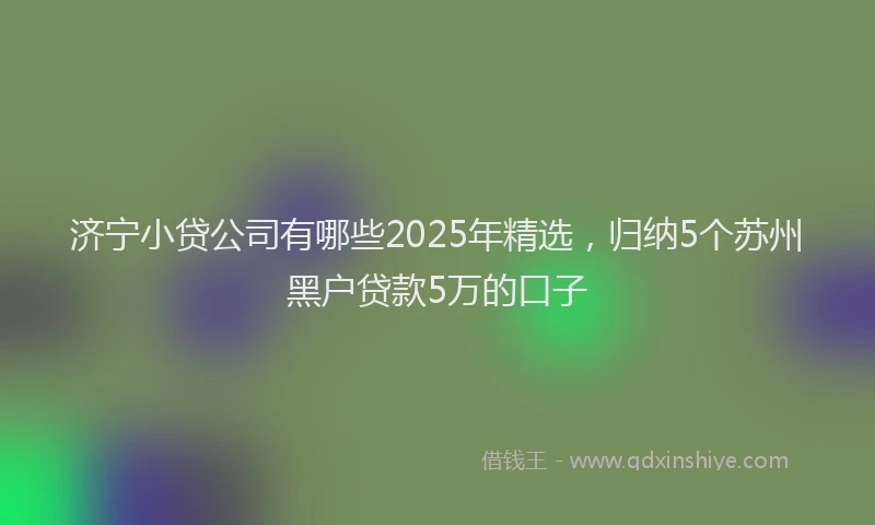 济宁小贷公司有哪些2025年精选，归纳5个苏州黑户贷款5万的口子