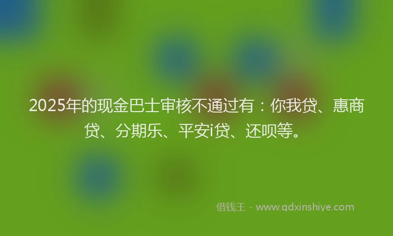 2025年的现金巴士审核不通过有：你我贷、惠商贷、分期乐、平安i贷、还呗等。