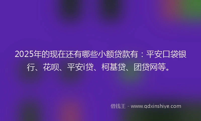 2025年的现在还有哪些小额贷款有：平安口袋银行、花呗、平安i贷、柯基贷、团贷网等。
