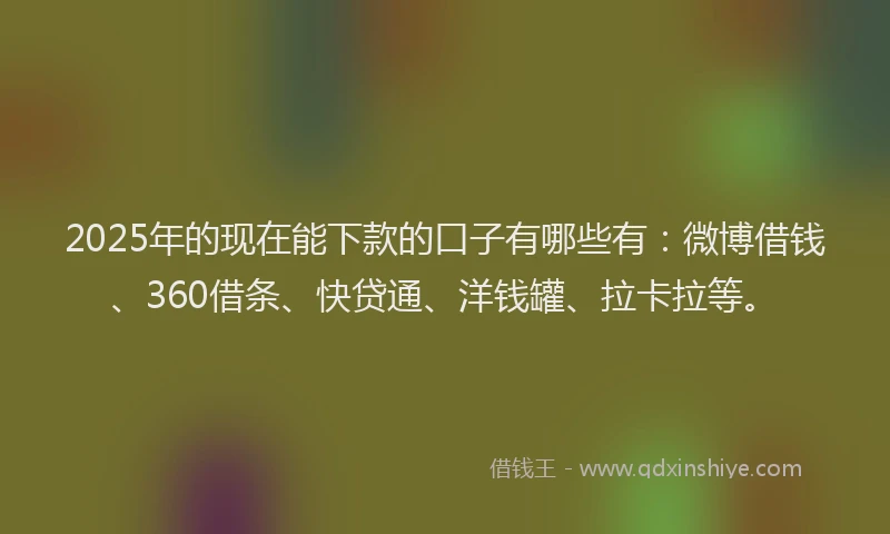 2025年的现在能下款的口子有哪些有：微博借钱、360借条、快贷通、洋钱罐、拉卡拉等。