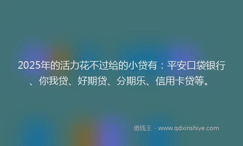 2025年的活力花不过给的小贷有：平安口袋银行、你我贷、好期贷、分期乐、信用卡贷等。