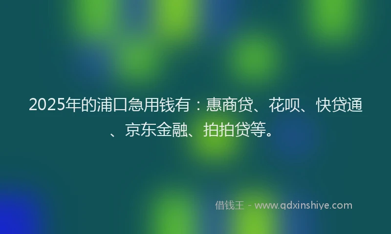 2025年的浦口急用钱有：惠商贷、花呗、快贷通、京东金融、拍拍贷等。