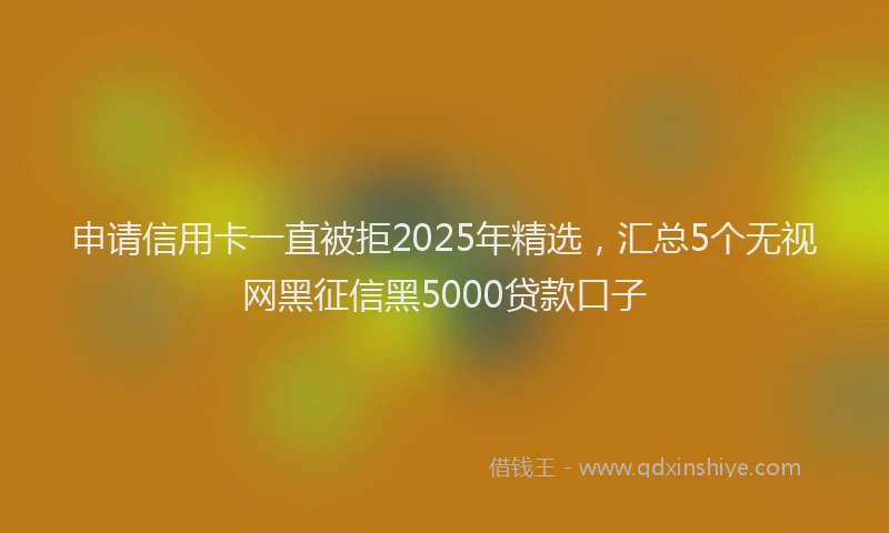 申请信用卡一直被拒2025年精选，汇总5个无视网黑征信黑5000贷款口子