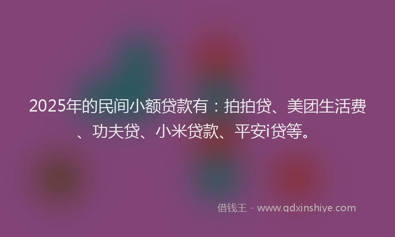 2025年的民间小额贷款有：拍拍贷、美团生活费、功夫贷、小米贷款、平安i贷等。