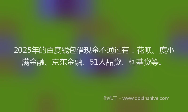 2025年的百度钱包借现金不通过有：花呗、度小满金融、京东金融、51人品贷、柯基贷等。
