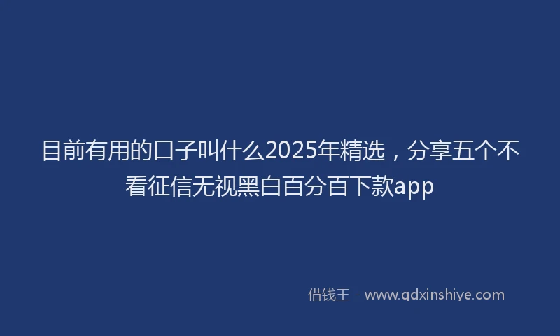目前有用的口子叫什么2025年精选，分享五个不看征信无视黑白百分百下款app