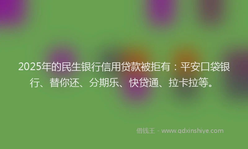 2025年的民生银行信用贷款被拒有：平安口袋银行、替你还、分期乐、快贷通、拉卡拉等。
