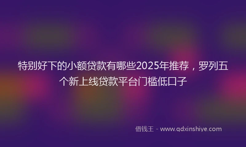 特别好下的小额贷款有哪些2025年推荐，罗列五个新上线贷款平台门槛低口子