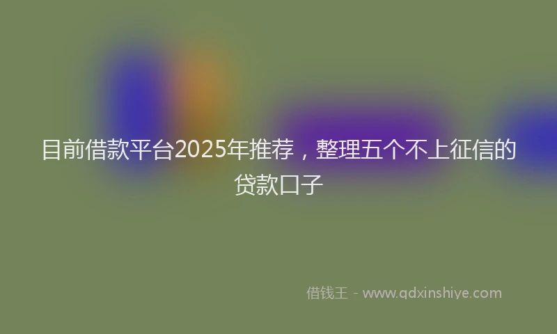 目前借款平台2025年推荐，整理五个不上征信的贷款口子