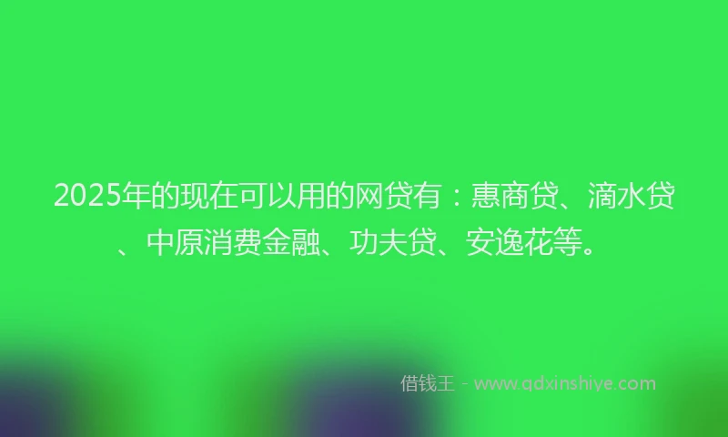 2025年的现在可以用的网贷有：惠商贷、滴水贷、中原消费金融、功夫贷、安逸花等。