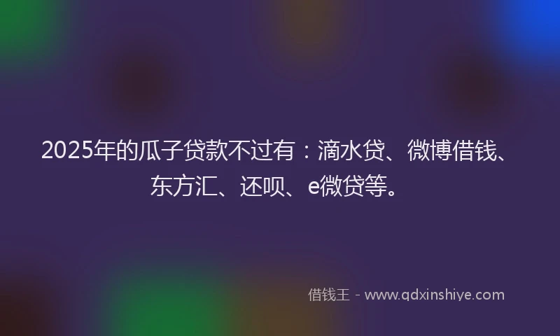 2025年的瓜子贷款不过有：滴水贷、微博借钱、东方汇、还呗、e微贷等。