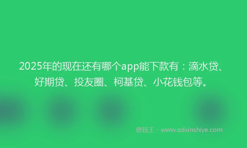 2025年的现在还有哪个app能下款有：滴水贷、好期贷、投友圈、柯基贷、小花钱包等。