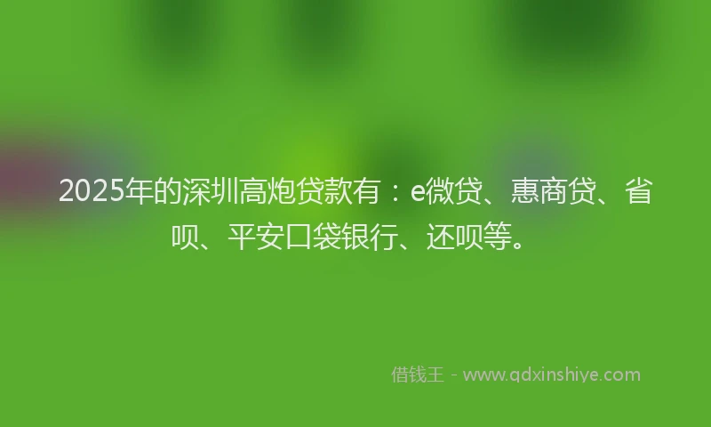 2025年的深圳高炮贷款有：e微贷、惠商贷、省呗、平安口袋银行、还呗等。