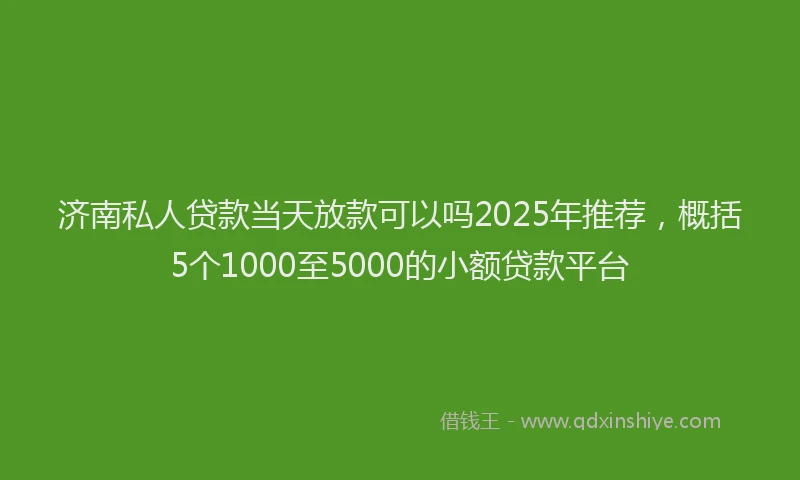 济南私人贷款当天放款可以吗2025年推荐，概括5个1000至5000的小额贷款平台