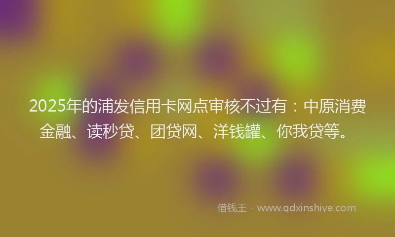2025年的浦发信用卡网点审核不过有：中原消费金融、读秒贷、团贷网、洋钱罐、你我贷等。