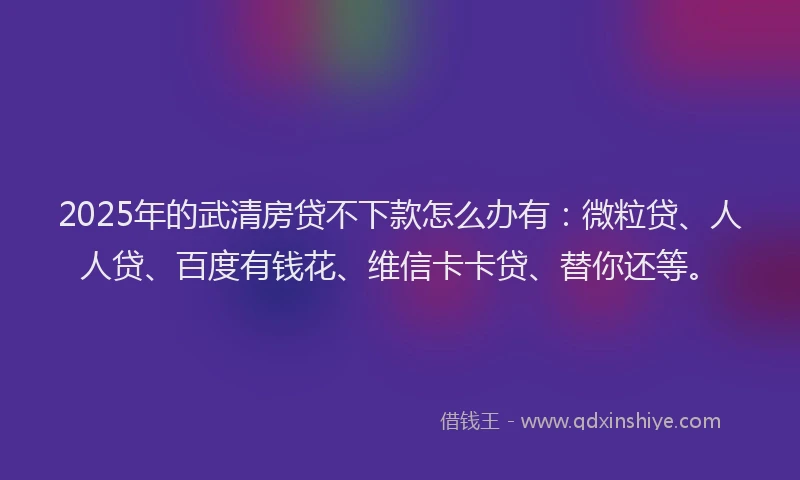 2025年的武清房贷不下款怎么办有：微粒贷、人人贷、百度有钱花、维信卡卡贷、替你还等。