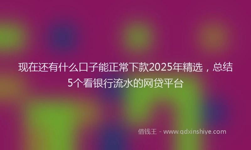 现在还有什么口子能正常下款2025年精选，总结5个看银行流水的网贷平台
