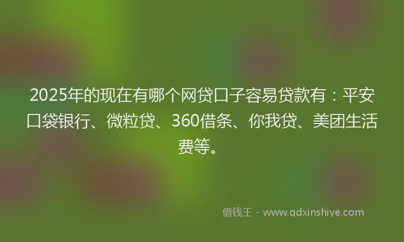 2025年的现在有哪个网贷口子容易贷款有：平安口袋银行、微粒贷、360借条、你我贷、美团生活费等。