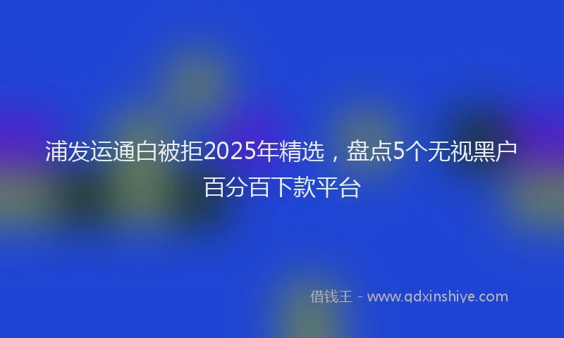 浦发运通白被拒2025年精选，盘点5个无视黑户百分百下款平台