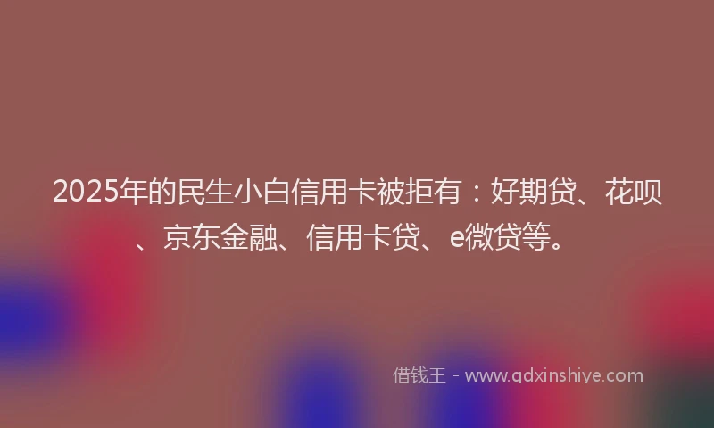 2025年的民生小白信用卡被拒有：好期贷、花呗、京东金融、信用卡贷、e微贷等。