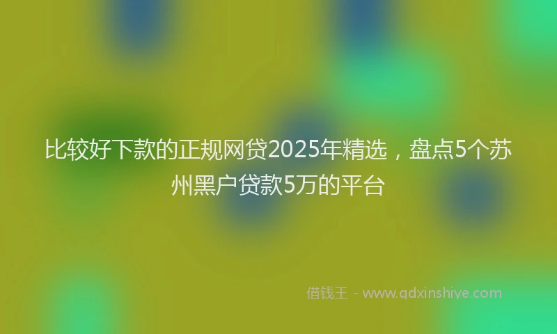 比较好下款的正规网贷2025年精选，盘点5个苏州黑户贷款5万的平台