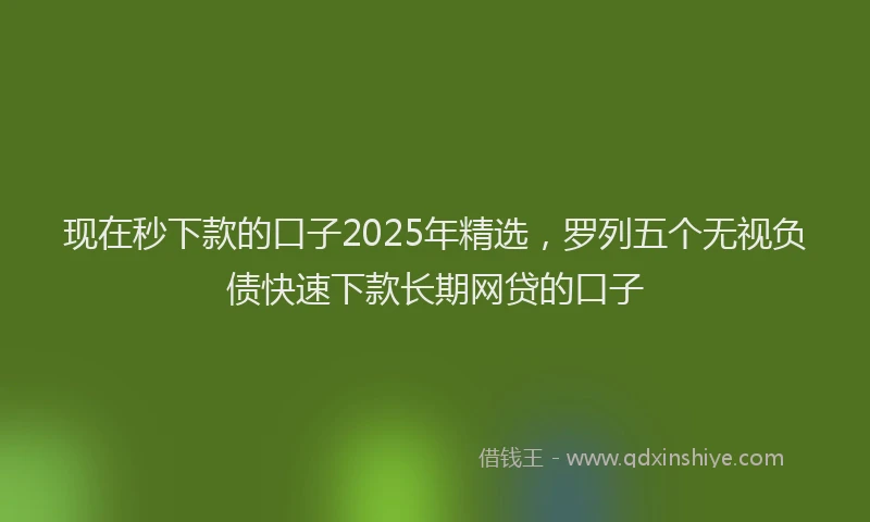 现在秒下款的口子2025年精选，罗列五个无视负债快速下款长期网贷的口子