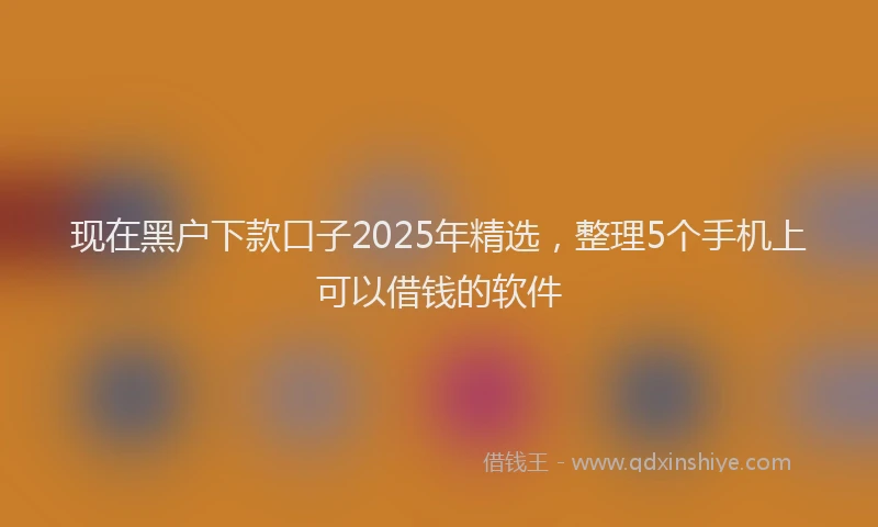 现在黑户下款口子2025年精选，整理5个手机上可以借钱的软件