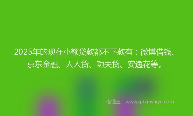 2025年的现在小额贷款都不下款有：微博借钱、京东金融、人人贷、功夫贷、安逸花等。