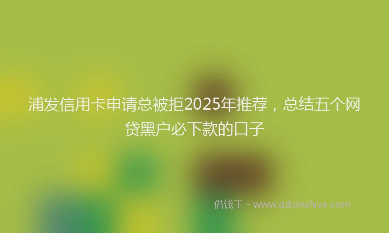 浦发信用卡申请总被拒2025年推荐，总结五个网贷黑户必下款的口子