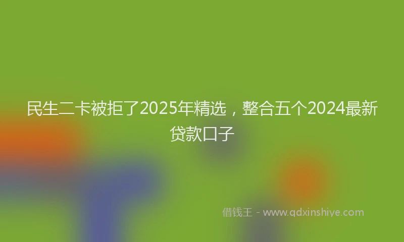 民生二卡被拒了2025年精选，整合五个2024最新贷款口子