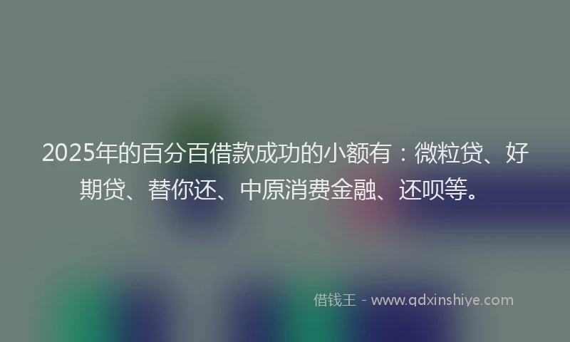2025年的百分百借款成功的小额有：微粒贷、好期贷、替你还、中原消费金融、还呗等。