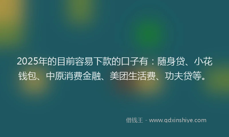 2025年的目前容易下款的口子有：随身贷、小花钱包、中原消费金融、美团生活费、功夫贷等。