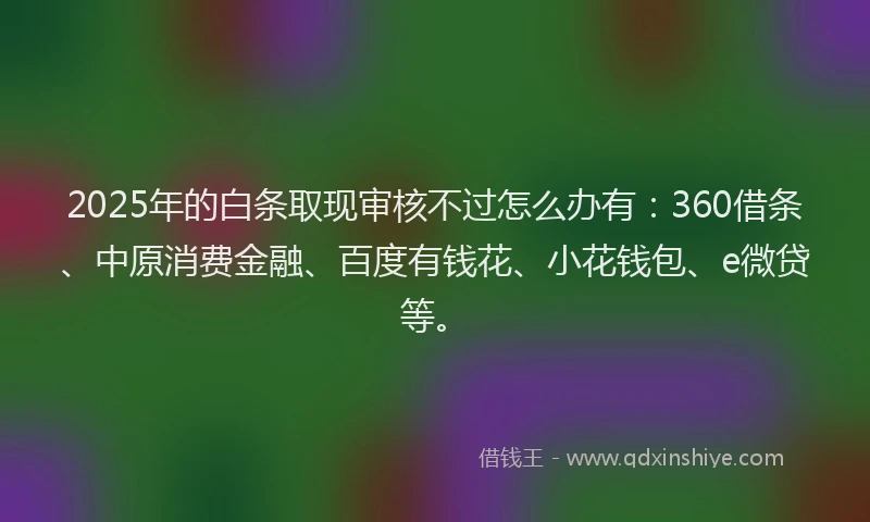 2025年的白条取现审核不过怎么办有：360借条、中原消费金融、百度有钱花、小花钱包、e微贷等。