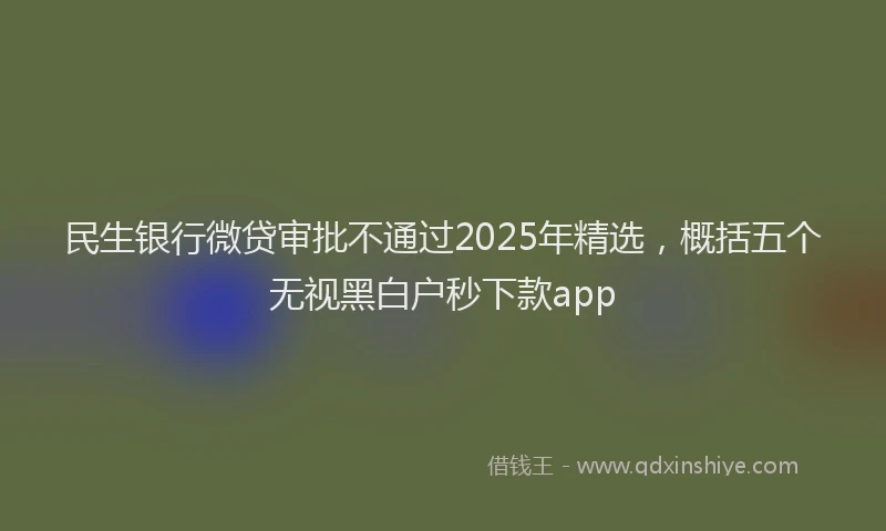 民生银行微贷审批不通过2025年精选，概括五个无视黑白户秒下款app