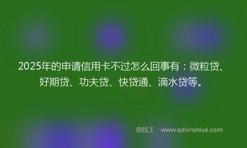 2025年的申请信用卡不过怎么回事有：微粒贷、好期贷、功夫贷、快贷通、滴水贷等。