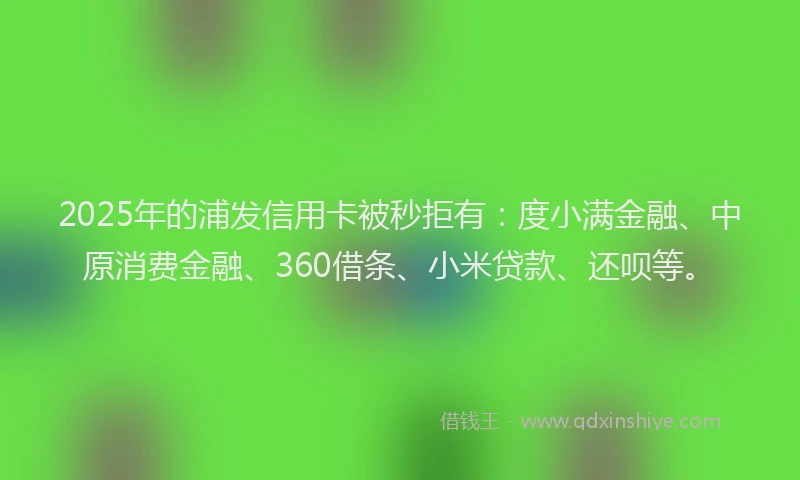 2025年的浦发信用卡被秒拒有：度小满金融、中原消费金融、360借条、小米贷款、还呗等。
